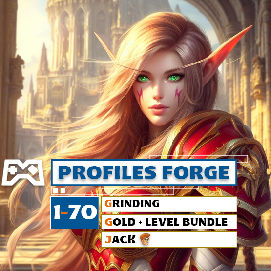 1-70 The Burning Crusade Classic Grinding